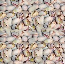 Organic Pistachios - in the Shell: 1/2 Pound